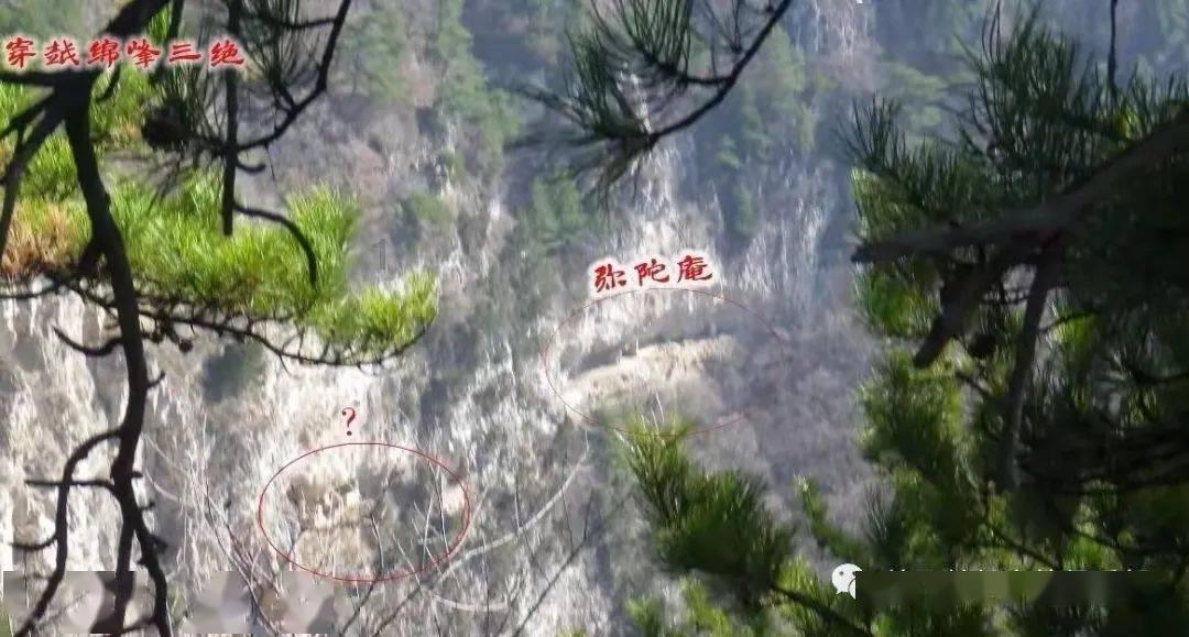 破茧成蝶:从零基础到《画说跑步之三国运动会》飞跃之旅